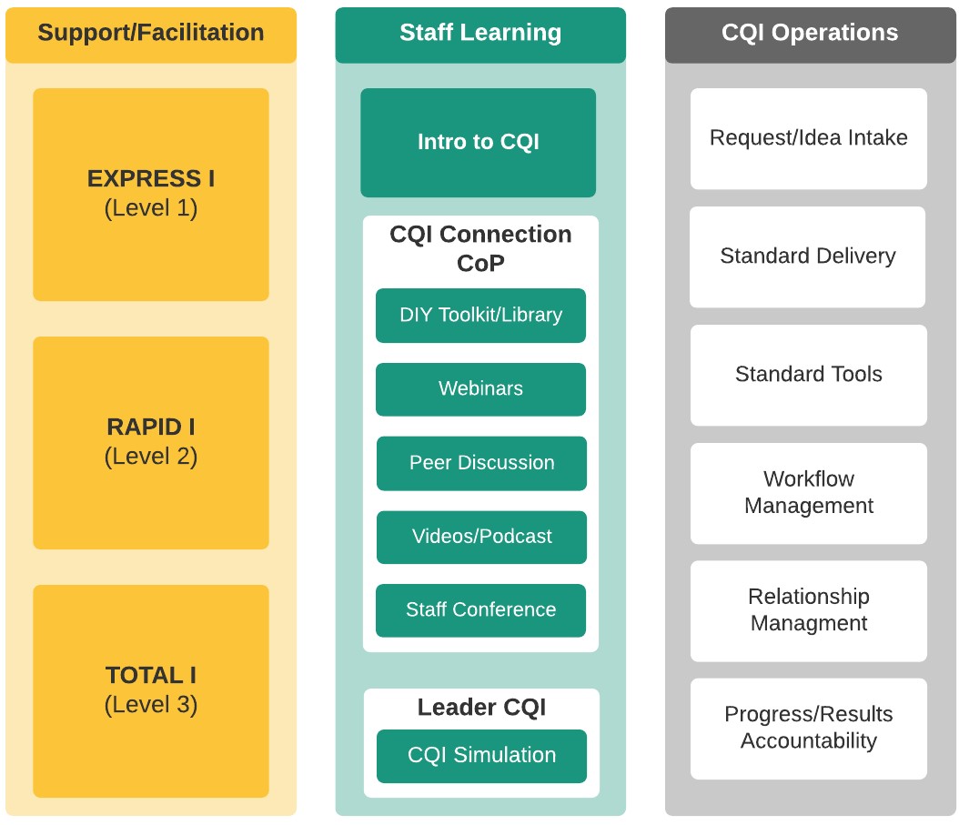 CQI service delivery model for PAI
